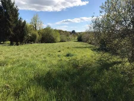 vente terrain 2489 m² écuras (16220)