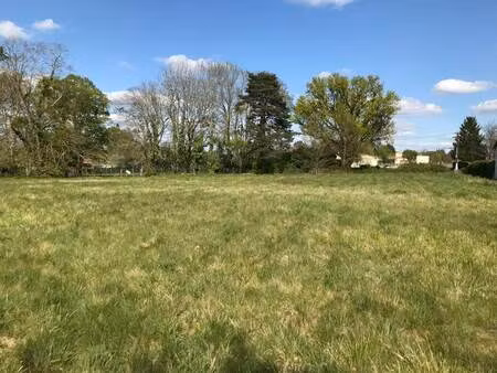 vente terrain 3180 m² écuras (16220)