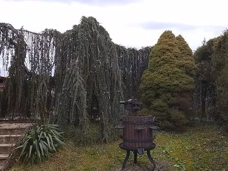 maison 10 pièces 150 m²