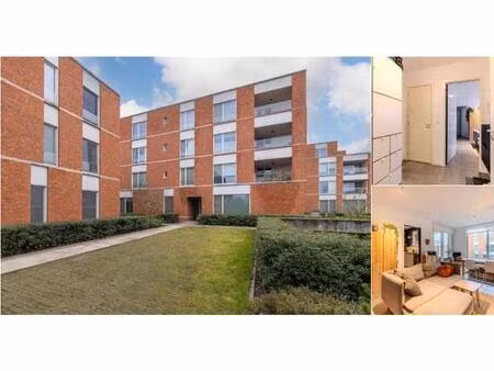 appartement à vendre à vrijwilligersstraat 5 oostmalle (rbv13143)