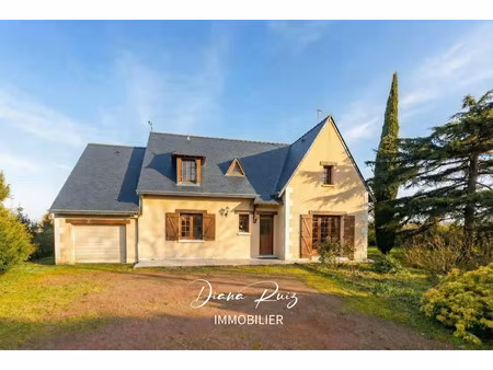 vente maison 6 pièces 130 m² à loire-authion (49250)  367 500 €