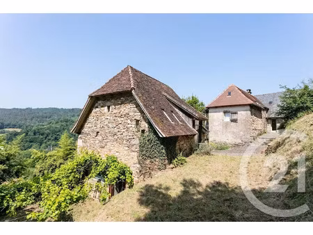 vente maison 7 pièces 195 m² à bassignac-le-bas (19430)  395 000 €