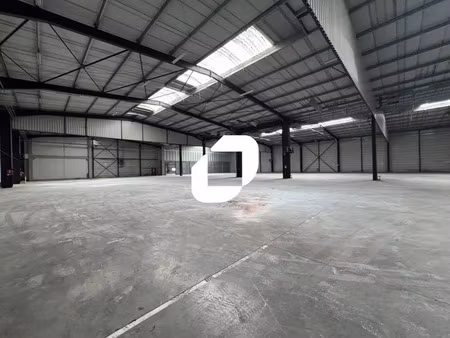 location entrepôt geispolsheim 67118