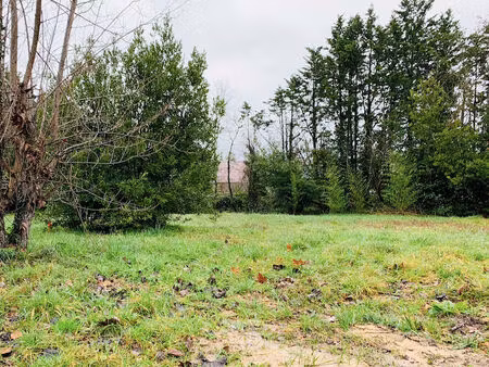vente terrain à construire 1037 m² montguyon (17270)