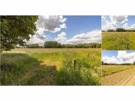 terrain agricole à vendre à hulshoutsesteenweg heist-op-den-berg (rbv13116)