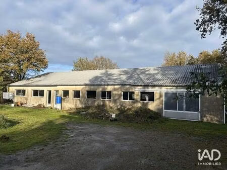vente commerce 400 m² mauves-sur-loire (44470)