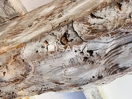 vente maison 7 pièces 177 m² à acigné (35690)  590 000 €