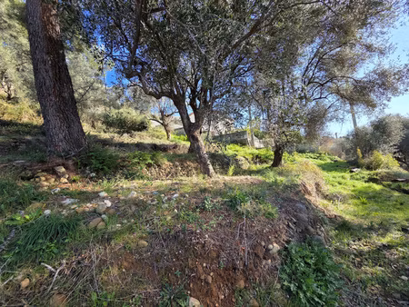 saint martin du var : terrain de caractère de 1000 m2 - position dominante exposé ouest