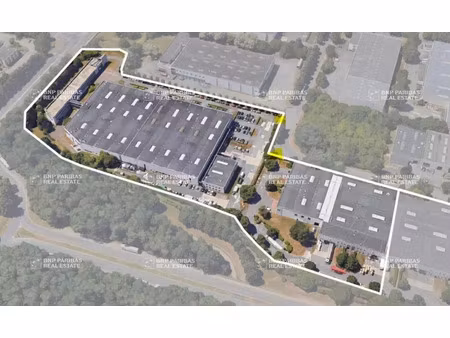 location entrepôt logistique croissy-beaubourg 77183