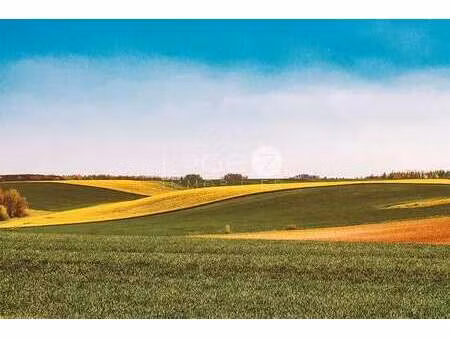 vente terrain à guidel (56520) : à vendre / guidel