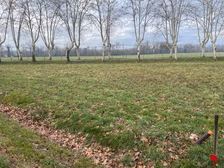 vente terrain 1175 m² à soual (81580)  45 000 €