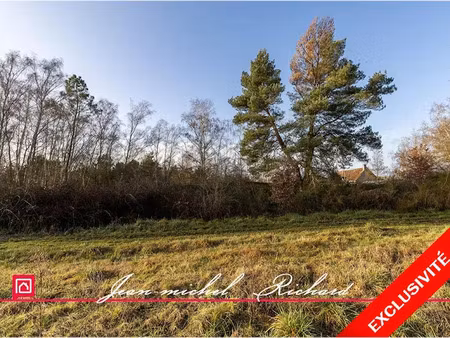 vente terrain 2640 m² à billy (41130)  19 990 €