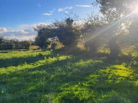 vente terrain à brest (29200) : à vendre / brest