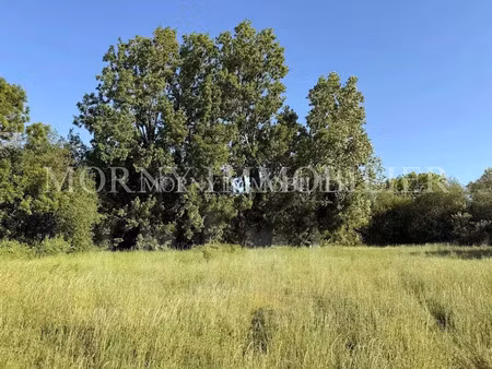 vente terrain 707 m² à tourgéville (14800)  230 000 €