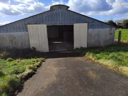 location hangar / entrepot 150 m2