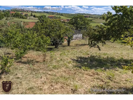vente terrain à le bois-d'oingt (69620)  154 000 €