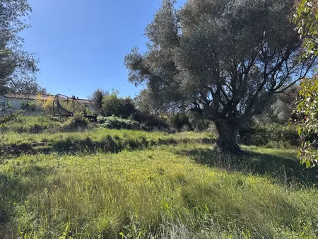 vente terrain 620 m² à puget-ville (83390)  165 000 €