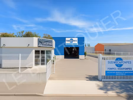 vente locaux professionnels 53622 m² à saint-mitre-les-remparts (13920)  1 166 000 €