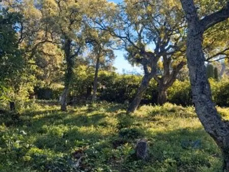 terrain constructible emplacement privilégié