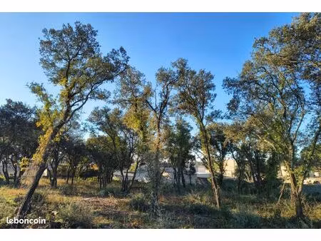 terrain 650 m² châteauneuf-du-pape