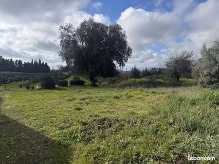 terrain 1000 m² aléria