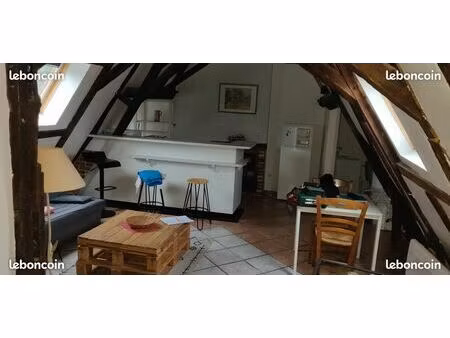 bel appartement t2 meublé 50m2 en hypercentre