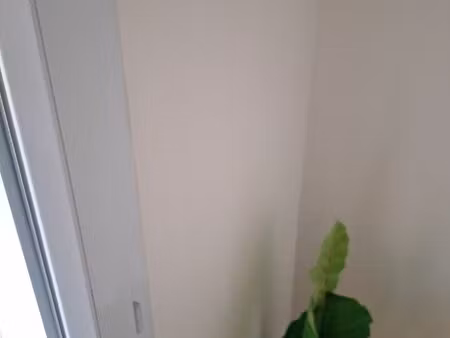 appartement suresnes quartier république