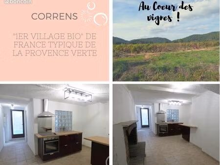 ? correns - t3 rénové avec charme ?