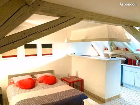 très joli studio cocon à louer 1er mars