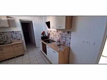 appartement rénové 3 chambres + jardin