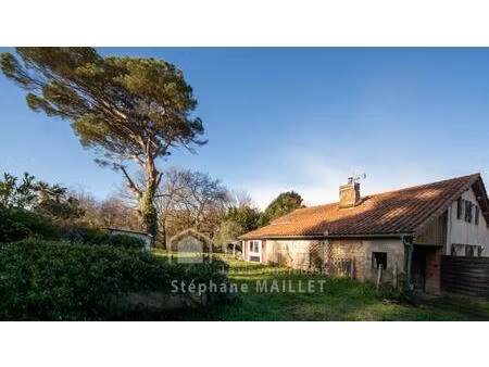 calme et charme au bout de l’impasse