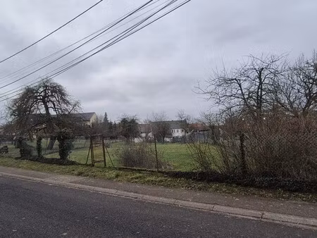 terrain constructible