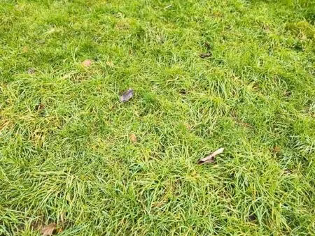 terrain 458 m² nozay