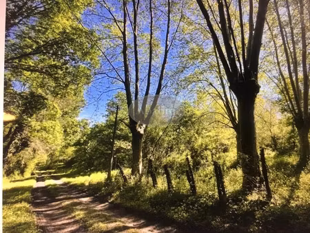 vente propriété 7 pièces 193 m² à saint-palais (64120)  299 000 €