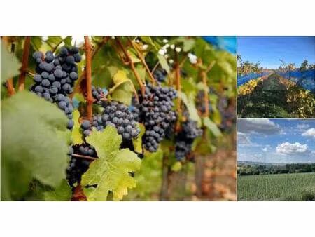 surface commerciale à vendre à glain (vbd80724)