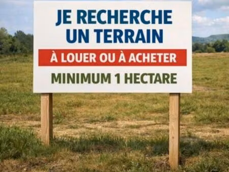 recherche bois taillis   herbage