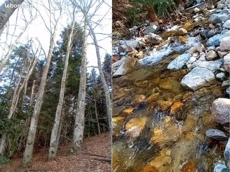 parcelles de bois / forêt avec rivière / 7 hectares à 0 40/m²