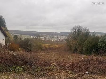 terrain constructible