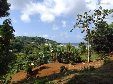 terrain constructible 2400m2 trinité vue mer