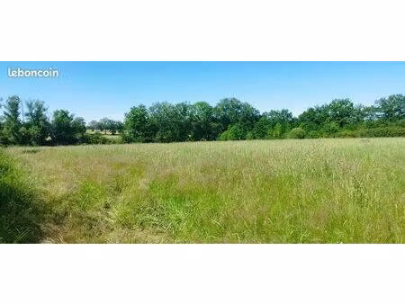 terrain de loisir boisé avec ruisseau