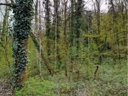 entretiens parcelles