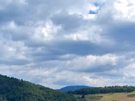 vends terrain 1 hectare