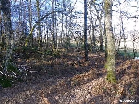 terrain 3 460 m² curemonte