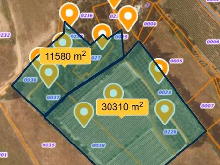 terre agricole avec oliveraie