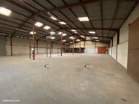 local d'activité 1 343 m²