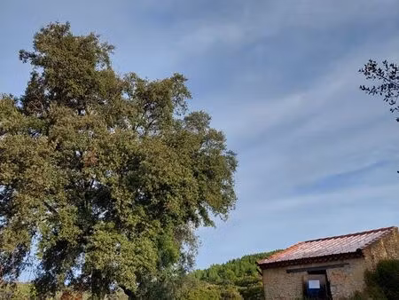 terrain nu plat en zone naturelle avec mazet