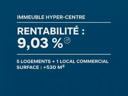 immeuble de rapport — +9 %