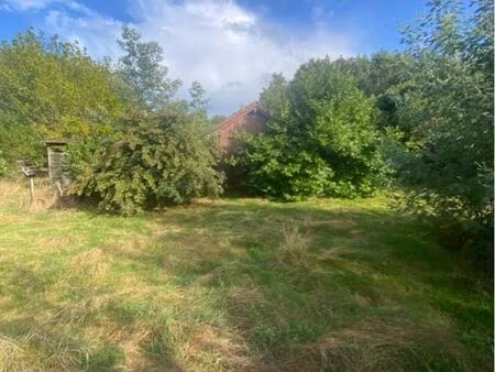 terrain constructible