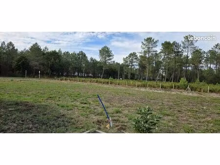 terrain 593 m² pontenx les forges