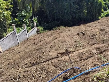 opportunité 5 terrains à vendre idéal construction